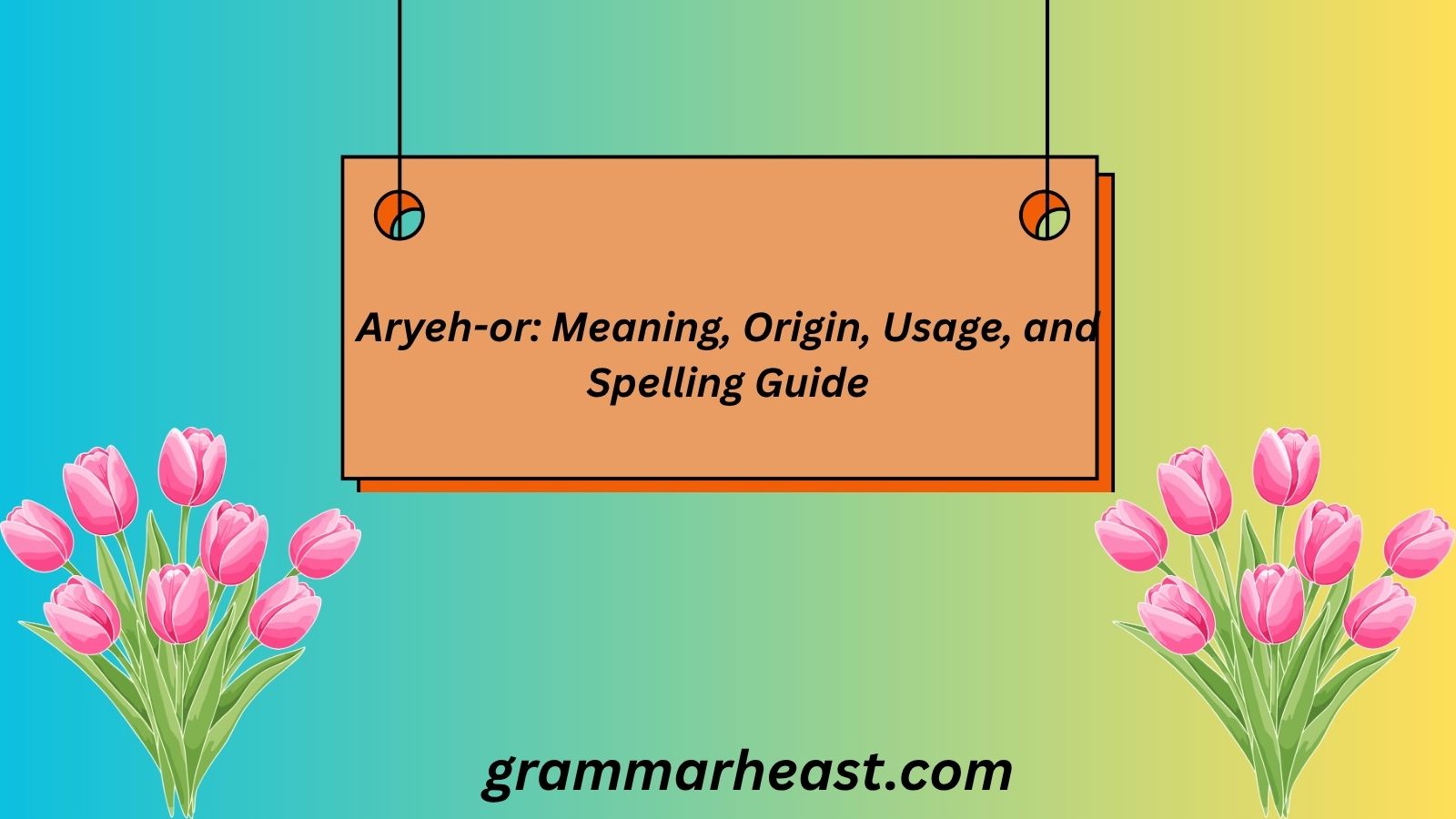 Aryeh Or