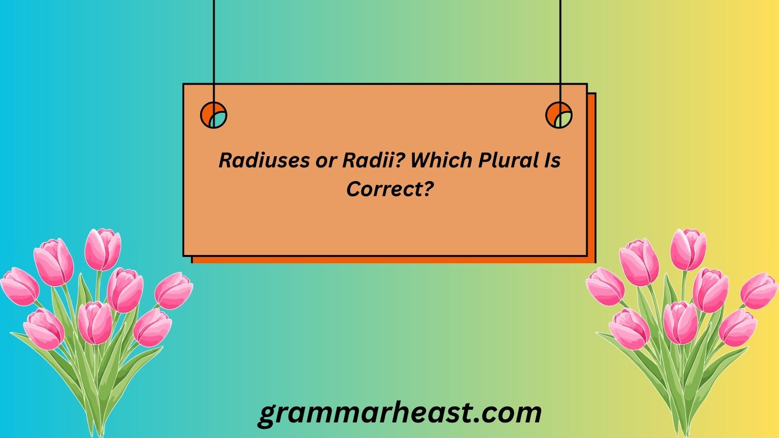 Radiuses or Radii